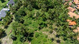 Land for sale in Lipa Noi, Surat Thani