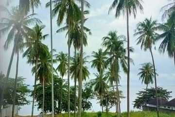 Land for sale in Maret, Surat Thani