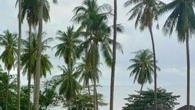 Land for sale in Maret, Surat Thani