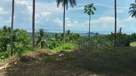 Land for sale in Lipa Noi, Surat Thani