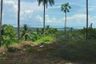 Land for sale in Lipa Noi, Surat Thani