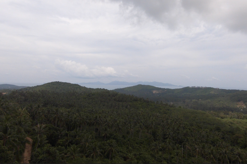 Land for sale in Bo Phut, Surat Thani