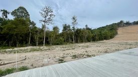 Land for sale in Mae Nam, Surat Thani