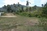 Land for sale in Mae Nam, Surat Thani