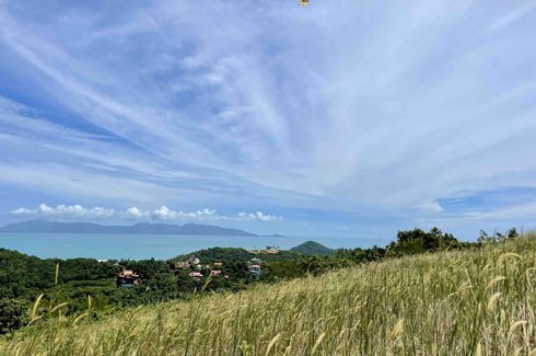 Land for sale in Mae Nam, Surat Thani