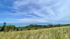 Land for sale in Mae Nam, Surat Thani