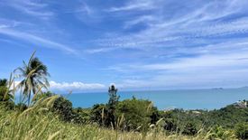 Land for sale in Mae Nam, Surat Thani