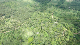 Land for sale in Bo Phut, Surat Thani