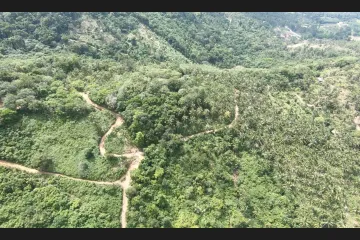 Land for sale in Bo Phut, Surat Thani