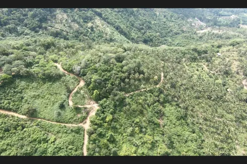 Land for sale in Bo Phut, Surat Thani