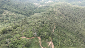 Land for sale in Bo Phut, Surat Thani