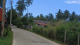 Land for sale in Lipa Noi, Surat Thani