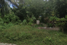 Land for sale in Lipa Noi, Surat Thani