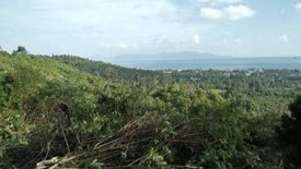 Land for sale in Bo Phut, Surat Thani