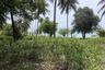 Land for sale in Mae Nam, Surat Thani