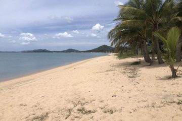 Land for sale in Mae Nam, Surat Thani