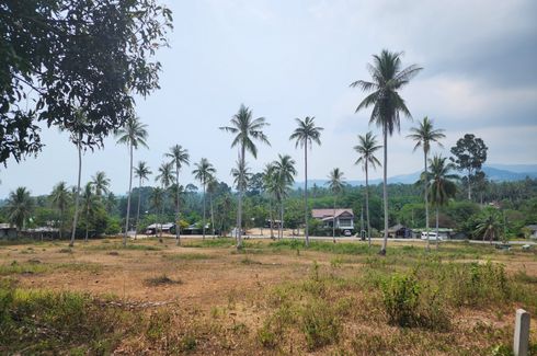 Land for sale in Mae Nam, Surat Thani