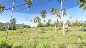 Land for sale in Mae Nam, Surat Thani