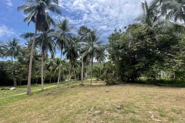 Land for sale in Taling Ngam, Surat Thani
