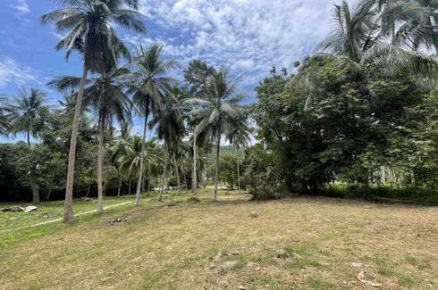 Land for sale in Taling Ngam, Surat Thani