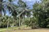 Land for sale in Taling Ngam, Surat Thani