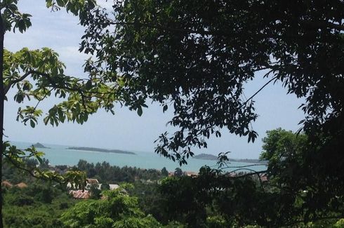 Land for sale in Bo Phut, Surat Thani