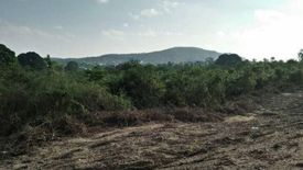 Land for sale in Bo Phut, Surat Thani