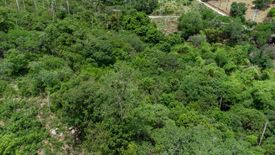 Land for sale in Bo Phut, Surat Thani