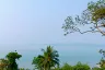 Land for sale in Mae Nam, Surat Thani
