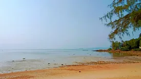 Land for sale in Mae Nam, Surat Thani