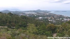 Land for sale in Bo Phut, Surat Thani