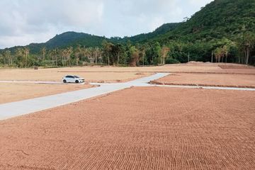 Land for sale in Mae Nam, Surat Thani