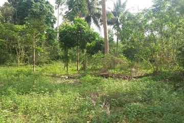 Land for sale in Bo Phut, Surat Thani