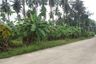 Land for sale in Bo Phut, Surat Thani