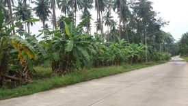 Land for sale in Bo Phut, Surat Thani