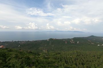 Land for sale in Mae Nam, Surat Thani