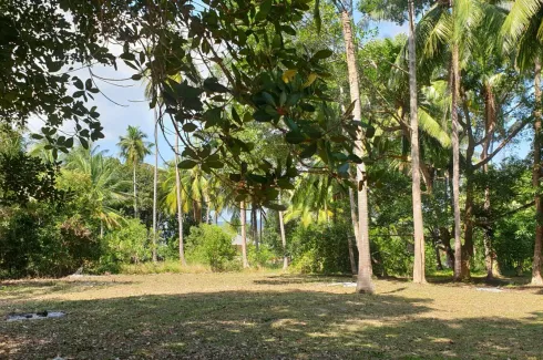 Land for sale in Ang Thong, Surat Thani