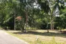 Land for sale in Ang Thong, Surat Thani