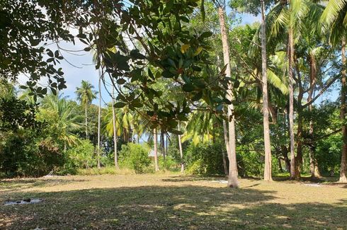 Land for sale in Ang Thong, Surat Thani