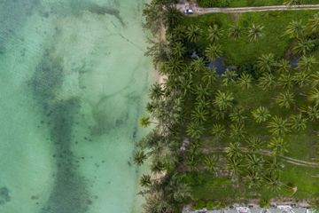 Land for sale in Ang Thong, Surat Thani