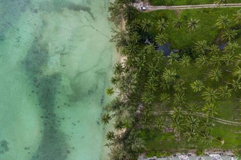 Land for sale in Ang Thong, Surat Thani