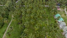 Land for sale in Ang Thong, Surat Thani