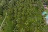 Land for sale in Ang Thong, Surat Thani