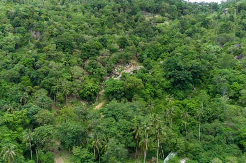 Land for sale in Bo Phut, Surat Thani