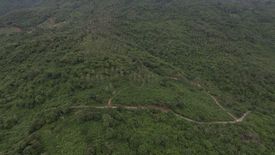 Land for sale in Na Mueang, Surat Thani