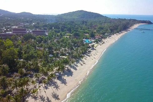 Land for sale in Mae Nam, Surat Thani