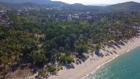 Land for sale in Mae Nam, Surat Thani