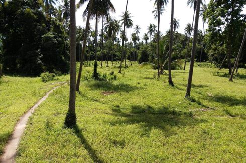 Land for sale in Na Mueang, Surat Thani