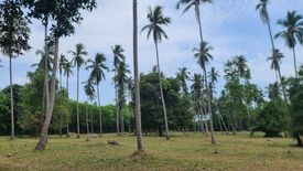 Land for sale in Na Mueang, Surat Thani