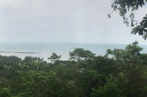 Land for sale in Maret, Surat Thani